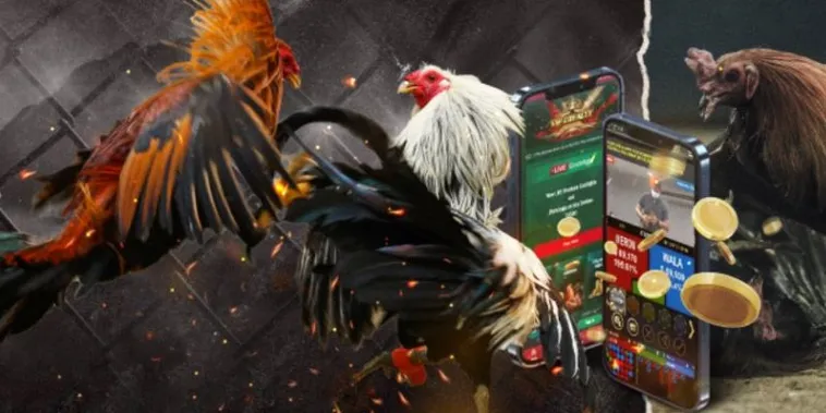 Bí Kíp Tham Gia Cá Cược Đá Gà GA28 Tại W388 Đỉnh Cao