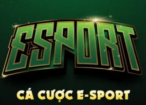 Bí Kíp Cá Cược Thể Thao Điện Tử W388 Săn Thưởng Khủng Các Giải Đấu